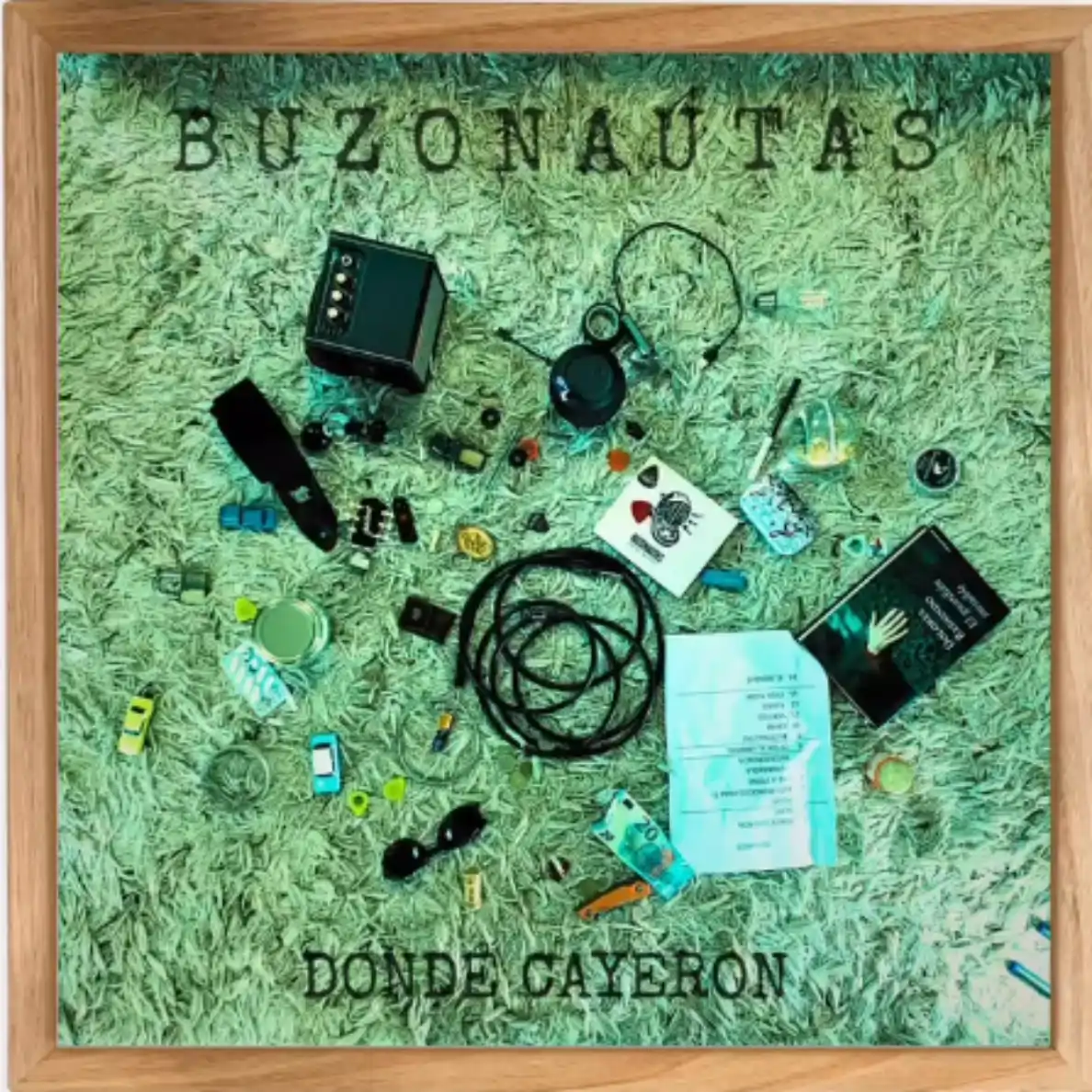Donde Cayeron — Buzonautas